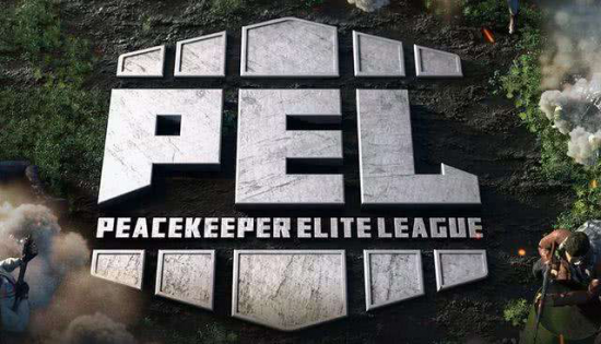 2025年江苏如东风筝邀请赛精彩开启